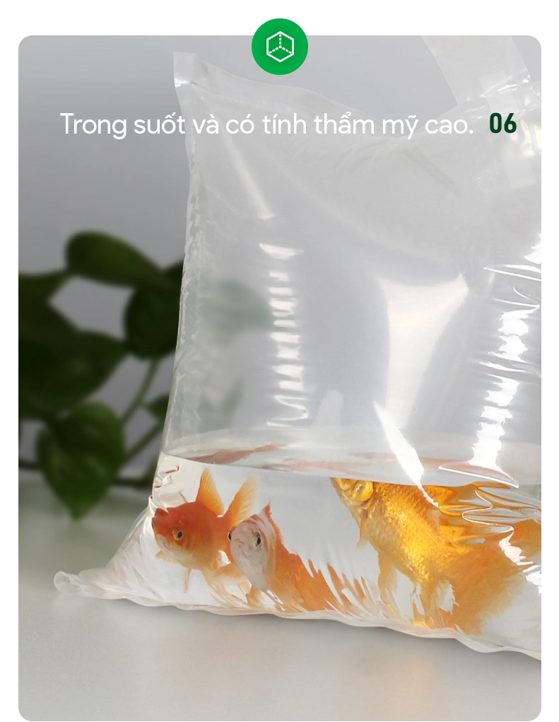 Túi bơm oxy vận chuyển cá
