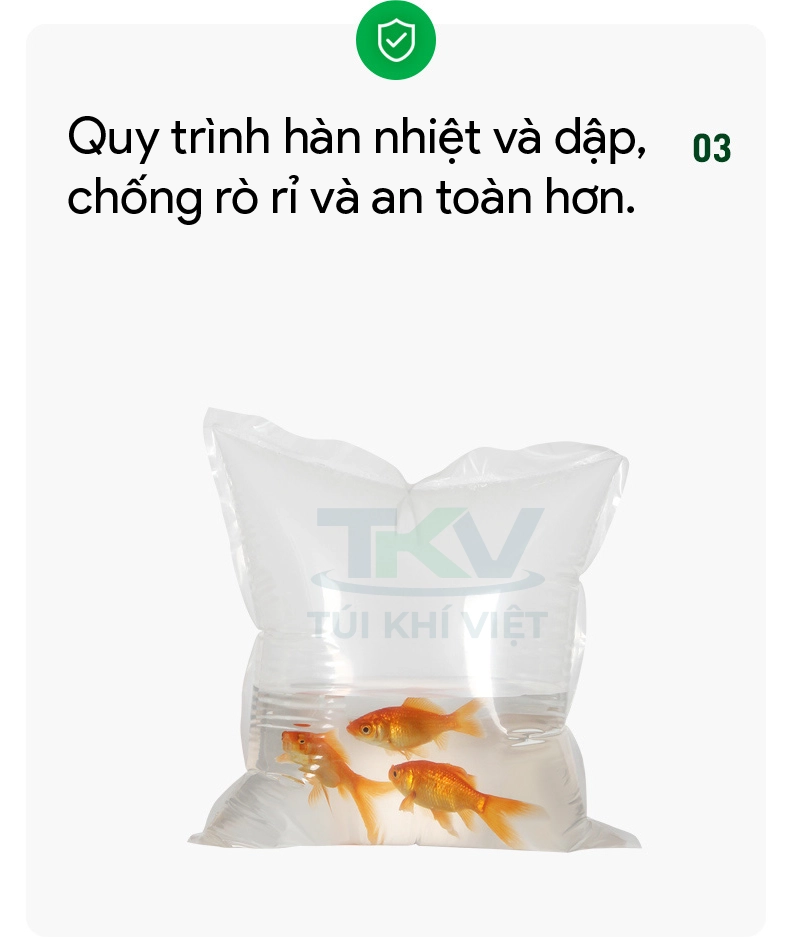 Túi bơm oxy vận chuyển cá