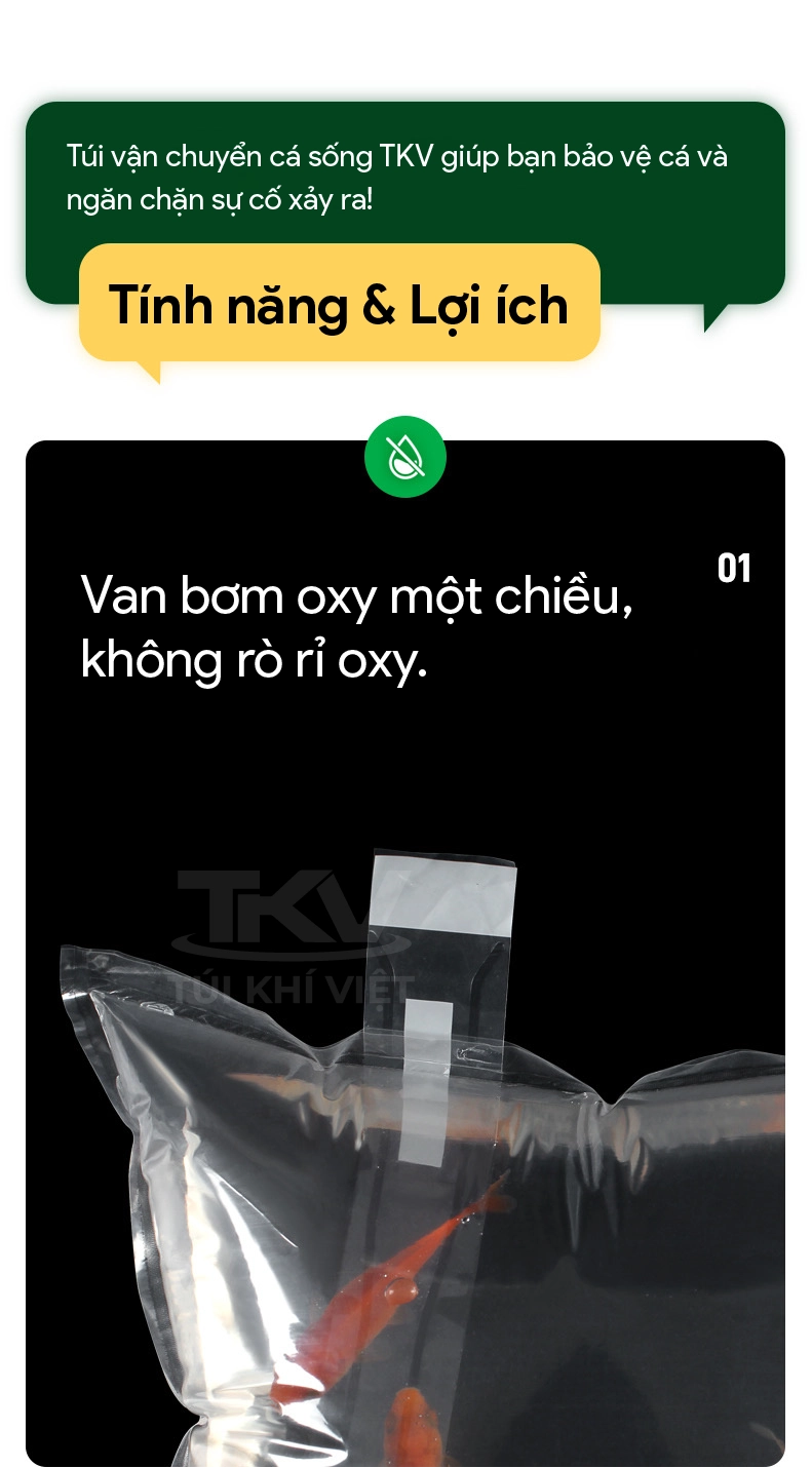 Túi bơm oxy cho cá kiểng