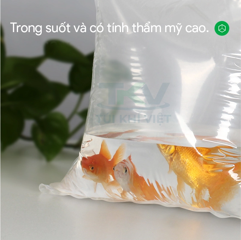 Tui nhua bom oxy van chuyen ca Túi nhựa bơm oxy vận chuyển cá