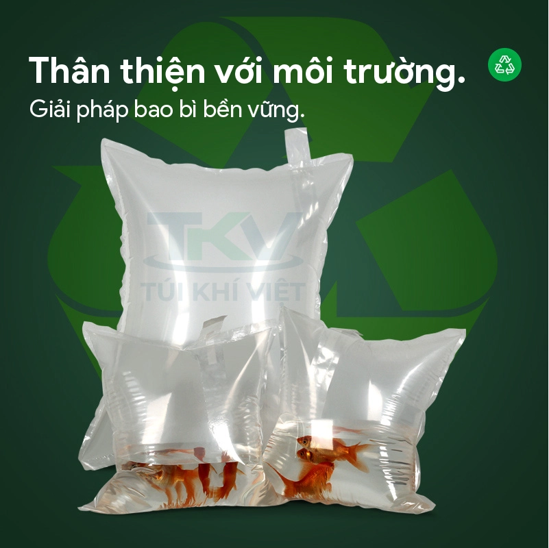 Tui van chuyen ca co bom oxy chat luong cao Túi vận chuyển cá có bơm oxy