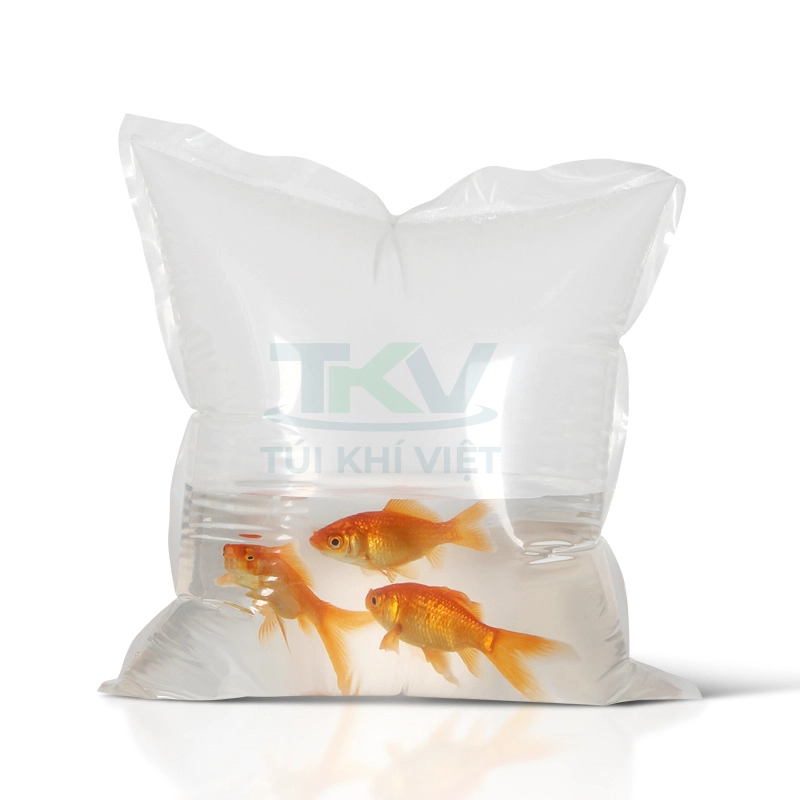 Tui van chuyen ca co bom oxy Túi vận chuyển cá có bơm oxy